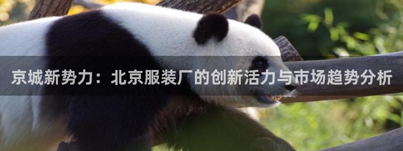 谈球吧体育app下载中心官方