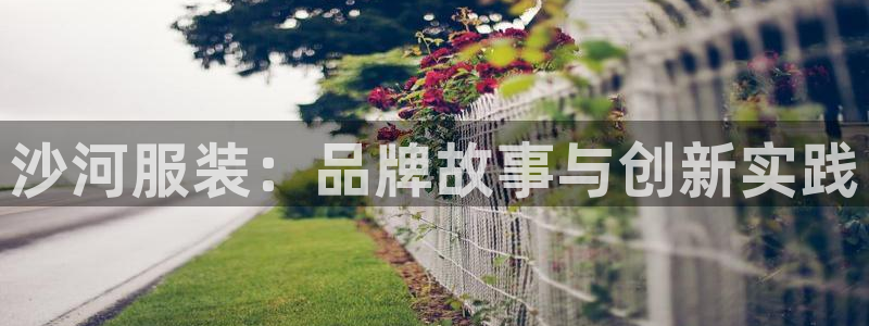 谈球吧体育app下载官网苹果手机
