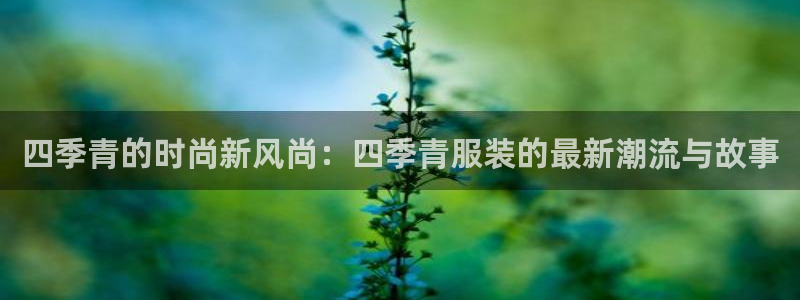 谈球吧言网入口