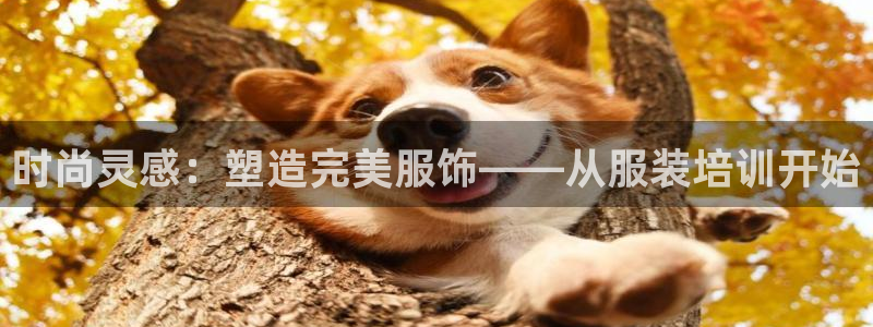 谈球吧红包码