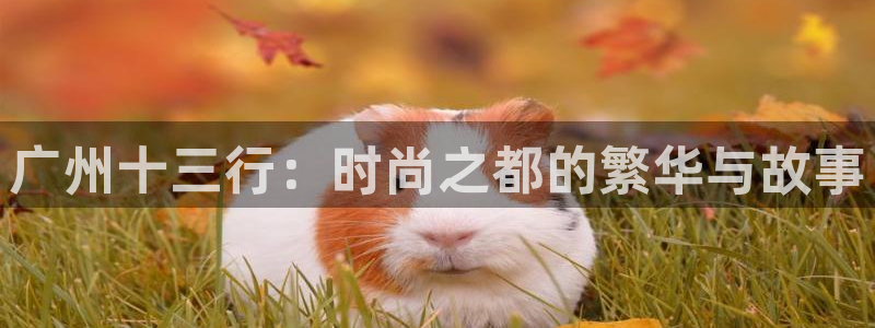 谈球吧app赛事分析在哪里看