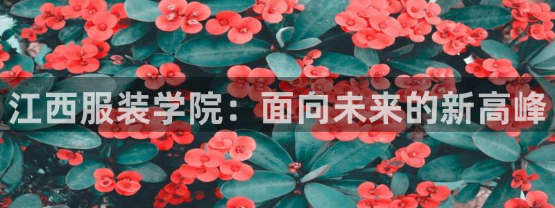 谈球吧体育app下载足球直播