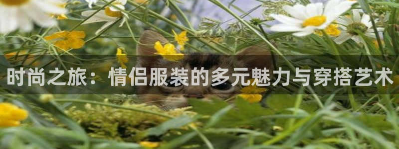 谈球吧出款怎样?