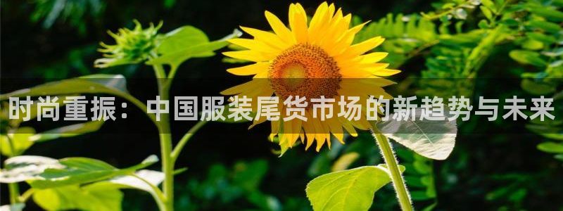 谈球吧官网在线入口