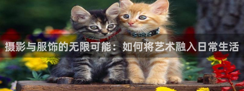 谈球吧平台