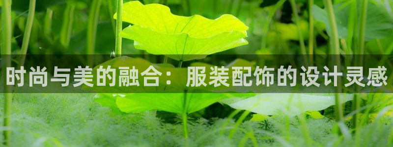 谈球吧打不开了