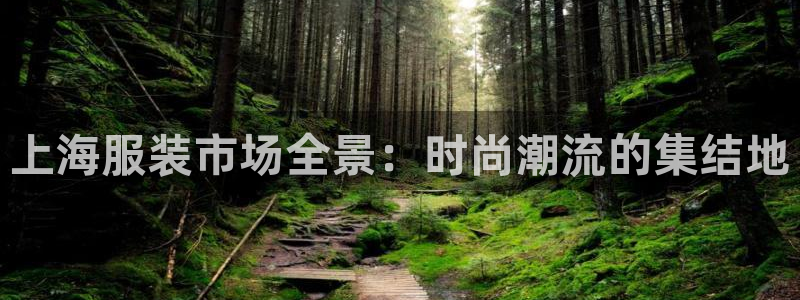 谈球吧体育综合