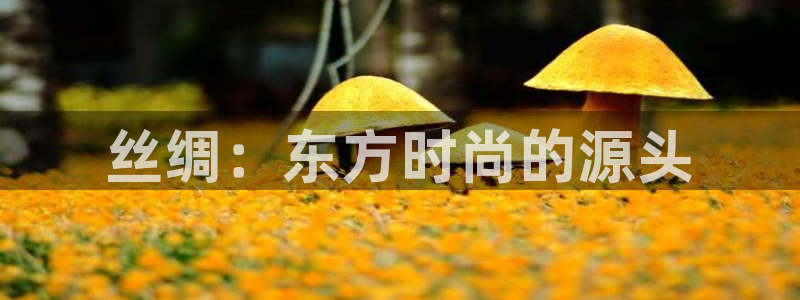 谈球吧体育app下载中心官方