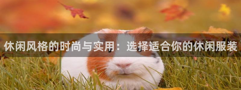 谈球吧app官方下载