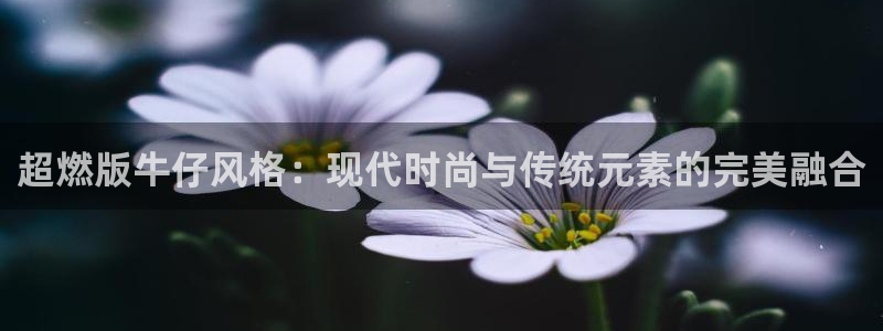 谈球吧的聊天软件叫什么