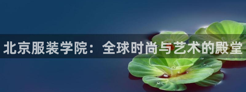 谈球吧的聊天软件