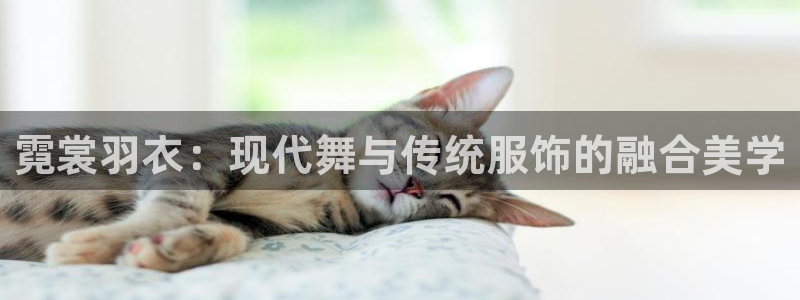 谈球吧体育app下载足球直播