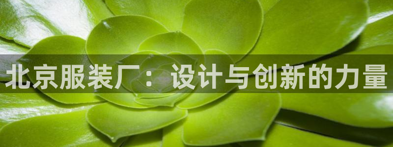 谈球吧娱乐app下载官网苹果