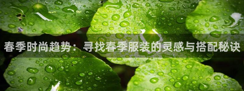谈球吧app赛事分析报告
