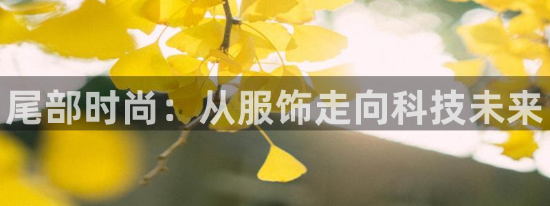 谈球吧打不开了：尾部时尚：从服饰走向科技