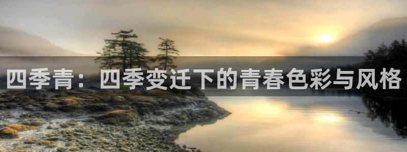 谈球吧官网在线入口手机版下载安装