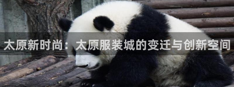 谈球吧买球提现