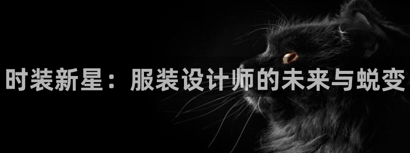 谈球吧与普通平台对比