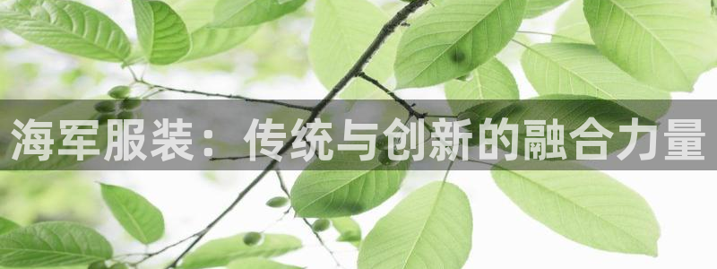 谈球吧体育app登陆