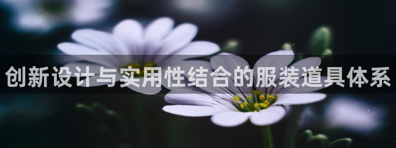 谈球吧官网在线入口免费观看