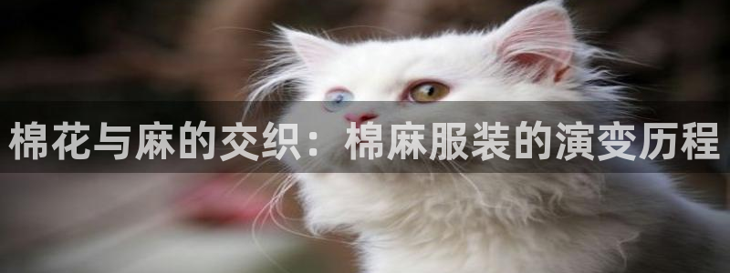 谈球吧体育app登陆不了