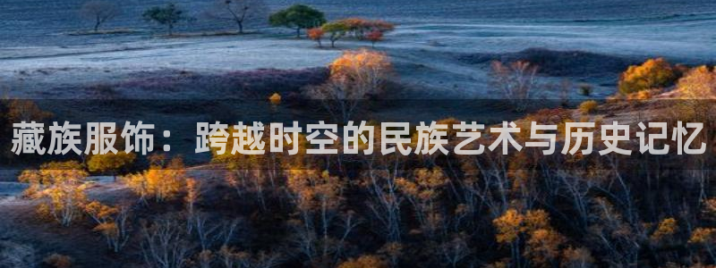 谈球吧官网在线入口免费观看视频