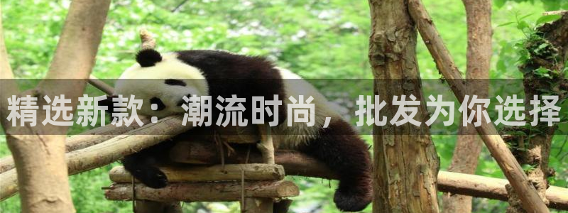 谈球吧下载地址