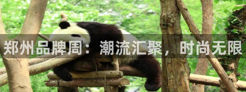 谈球吧app下载安装