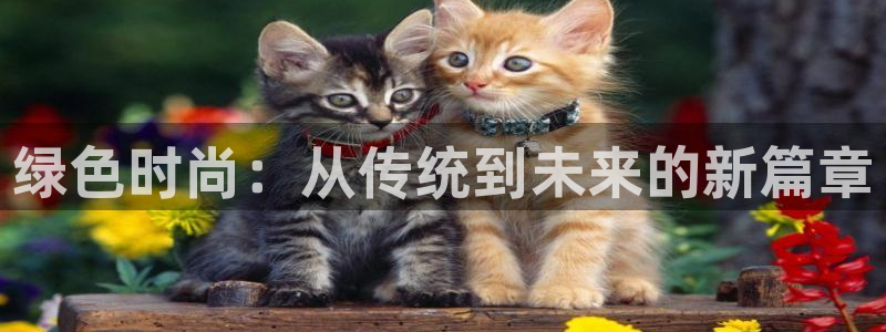 谈球吧黑款不：绿色时尚：从传统到未来的新