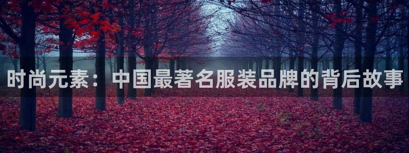 谈球吧体育app官网下载安卓