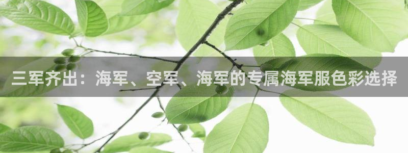 谈球吧黑款不