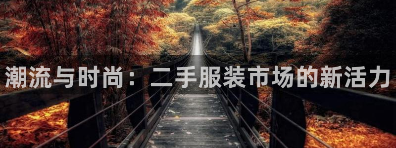 谈球吧是否诈骗