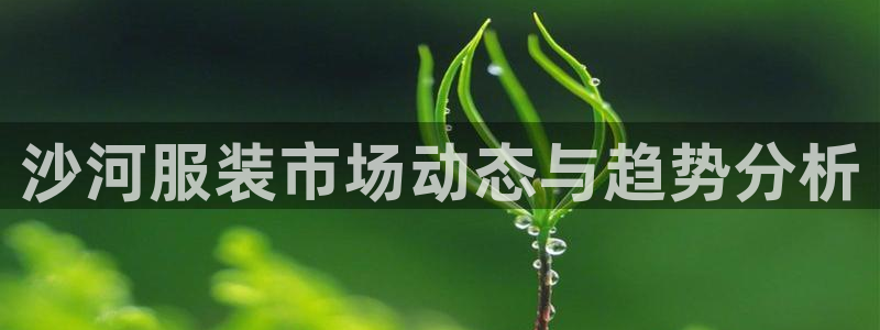 谈球吧全站app下载