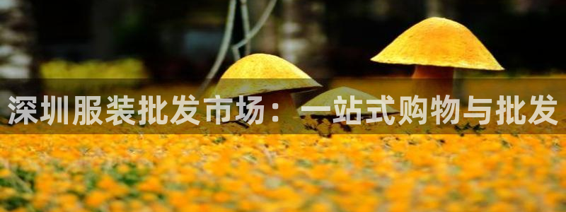 谈球吧属于哪个旗下