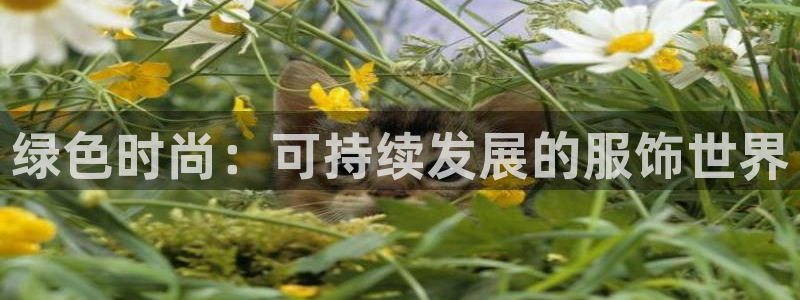 谈球吧体育app下载