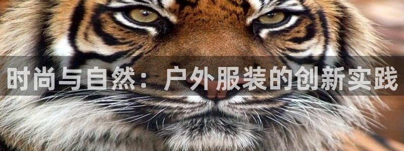 谈球吧娱乐app下载官网苹果手机