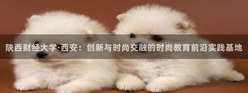 谈球吧账号有人收吗