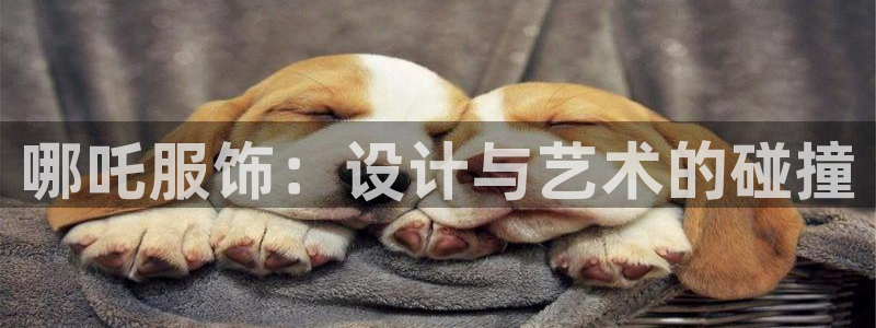 谈球吧平台app下载网址