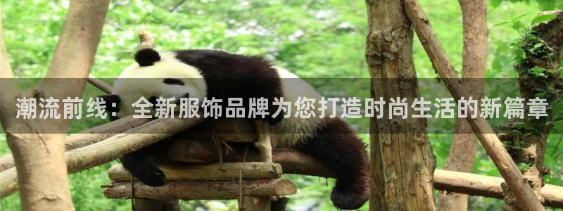 谈球吧体育官方入口