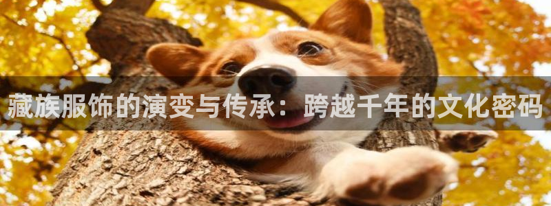 谈球吧平台正规吗可靠吗